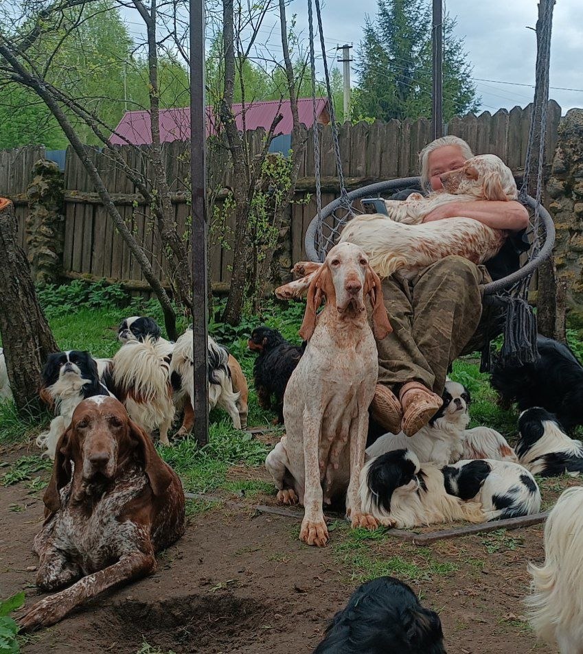 Собаки питомника Ланко